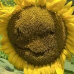 Profile photo of admin